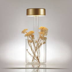 ĮKRAUNAMAS STALINIS LED ŠVIESTUVAS AL COLLABORATION WITH VASE 3W AUKSO SPALVOS kaina