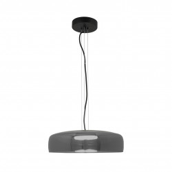 PAKABINAMAS LED ŠVIESTUVAS 23053 15W DŪMINTAS STIKLAS