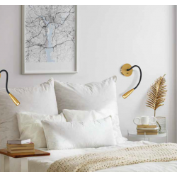 SIENINIS LED ŠVIESTUVAS H63 3W ŽALVARIO SPALVOS kaina