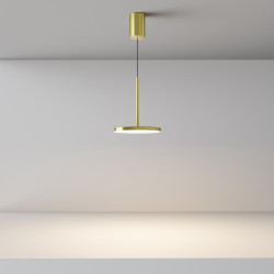 PAKABINAMAS LED ŠVIESTUVAS PLATO 12W žalvario spalvos internetu