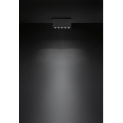 LUBINIS LED ŠVIESTUVAS KURA TOP X5 10W PILKAS kaina