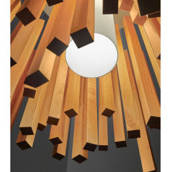 PAKABINAMAS ŠVIESTUVAS WOODS D60 RUDAS pristatymas