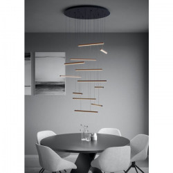 PAKABINAMAS LED ŠVIESTUVAS LINDOZA D78 100W JUODAS internetu