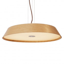 PAKABINAMAS ŠVIESTUVAS TAMAGO OAK 40W rudas pigiau