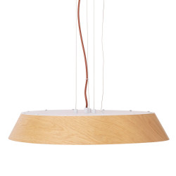 PAKABINAMAS ŠVIESTUVAS TAMAGO OAK 40W rudas kaina