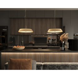 PAKABINAMAS ŠVIESTUVAS TAMAGO OAK 40W rudas pristatymas