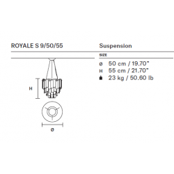 PAKABINAMAS ŠVIESTUVAS ROYALE D50 pristatymas