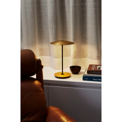 ĮKRAUNAMAS STALINIS LED ŠVIESTUVAS GINGER 3,5W ŽALVARIO SPALVOS | BALTAS internetu