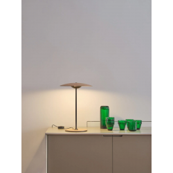 STALINIS LED ŠVIESTUVAS GINGER D32 10,5W TAMSIAI RUDAS internetu