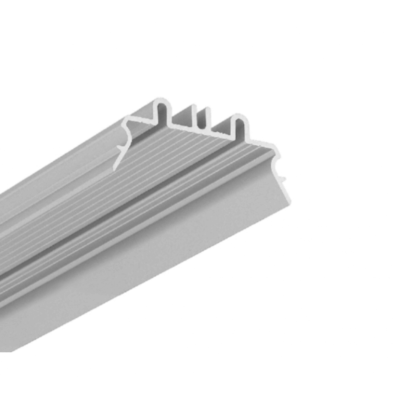 ĮDĖTINĖ DETALĖ TOPMET PHIL.V2 PROFILIUI, 2M P2000620