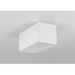 LED PROFILIS PHIL.V2 C10/Q9 PAVIRŠINIS, 2M, BALTAS pigiau