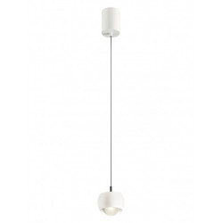 Pakabinamas LED šviestuvas AVES 12W baltas