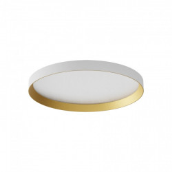 LUBINIS LED ŠVIESTUVAS DAMA D45 40W CCT BALTAS | AUKSO SPALVOS TRIAC