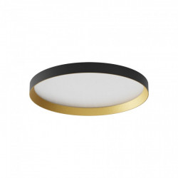 LUBINIS LED ŠVIESTUVAS DAMA D45 40W CCT JUODAS | AUKSO SPALVOS TRIAC
