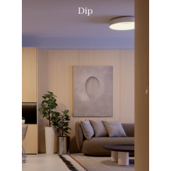 LUBINIS LED ŠVIESTUVAS DIP D48 30W CCT BALTAS pigiau