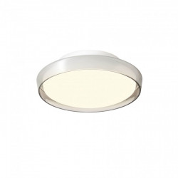 LUBINIS LED ŠVIESTUVAS ARCA D25 12W DŪMINTO STIKLO