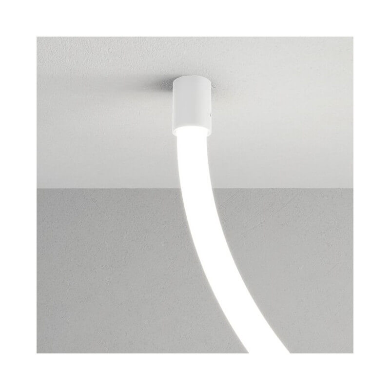 LUBINIS | SIENINIS ARELUX XLOOP SISTEMOS TVIRTINIMAS D25 BALTAS LP25CWF SWH