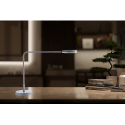 STALINIS LED ŠVIESTUVAS META 8W L57 ĮVAIRIŲ SPALVŲ kaina