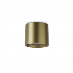 Lubinis LED šviestuvas SPIKE PL 10W žalvario spalvos kaina