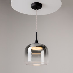 PAKABINAMAS LED ŠVIESTUVAS SPIRITO 12W DŪMINTO STIKLO SPALVOS pigiau