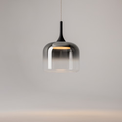 PAKABINAMAS LED ŠVIESTUVAS SPIRITO 12W DŪMINTO STIKLO SPALVOS kaina