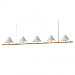 PAKABINAMAS LED ŠVIESTUVAS ANZA 5 45W BALTAS | AUKSO SPALVOS