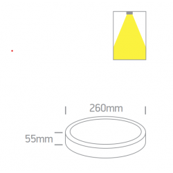 Lubinis LED šviestuvas 67220A/W/V 26W CCT baltas kaina