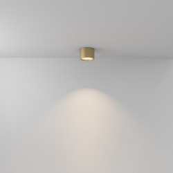 LUBINIS LED ŠVIESTUVAS HYDRA 10W AUKSO SPALVOS internetu