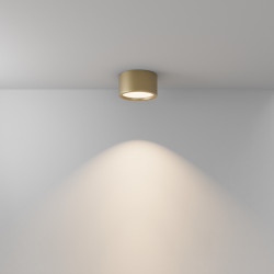 LUBINIS LED ŠVIESTUVAS HYDRA 15W AUKSO SPALVOS internetu