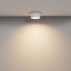 LUBINIS LED ŠVIESTUVAS VEGA 12W BALTAS pristatymas