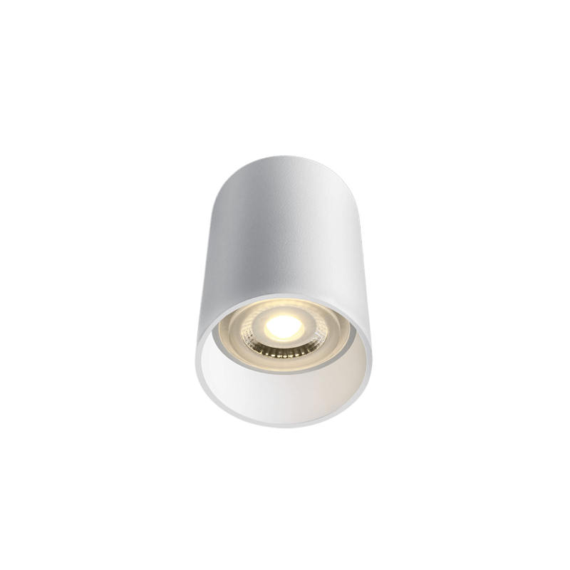 ŠVIESTUVAS LUBINIS ONE LIGHT 12105E/W