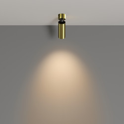 LUBINIS LED ŠVIESTUVAS FOCUS 12W ŽALVARIO SPALVOS skubiai