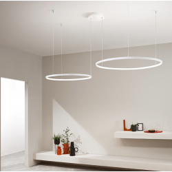 PAKABINAMAS LED ŠVIESTUVAS SOEL 2 66W BALTAS DIM kaina