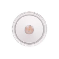 LUBINIS KRAIPOMAS LED ŠVIESTUVAS ZEUS 10W BALTAS kaina