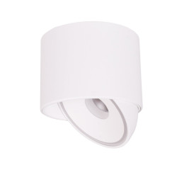 LUBINIS KRAIPOMAS LED ŠVIESTUVAS ZEUS 10W BALTAS