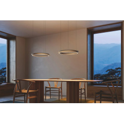 PAKABINAMAS LED ŠVIESTUVAS TIDAL D60 33W CHAMPAGNE kaina