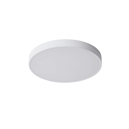 Šviestuvas lubinis LIGHT PLAN LEO 5008-60-WT