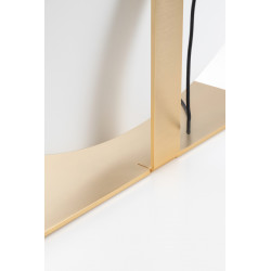 PASTATOMAS LED ŠVIESTUVAS MERIDIANA D110 35W BALTAS | ĮVAIRIŲ SPALVŲ skubiai