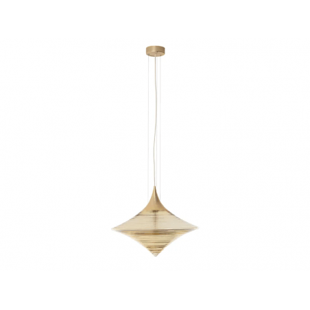 PAKABINAMAS ŠVIESTUVAS HIND RABII DISCA D60 GINTARO | ŽALVARIO SPALVOS N°10173