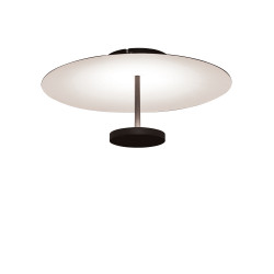 LUBINIS LED ŠVIESTUVAS ROSS D50 13W JUODAS