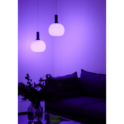 LED LEMPUTĖ SMART E27 8W kaina