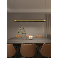 PAKABINAMAS LED ŠVIESTUVAS SINGAPUR L123 80W RUDAS | JUODAS internetu
