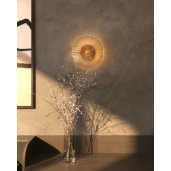 SIENINIS LED ŠVIESTUVAS ALLURE 10 43W AUKSO SPALVOS pristatymas