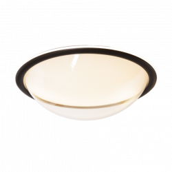 LUBINIS LED ŠVIESTUVAS LOTTO D48 50W JUODAS