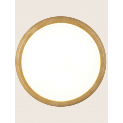 PAKABINAMAS LED ŠVIESTUVAS 25451 L90 RUSVAS pigiau