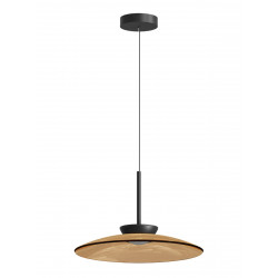 PAKABINAMAS LED ŠVIESTUVAS 25274 D50 31W RUDAS