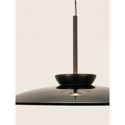 PAKABINAMAS LED ŠVIESTUVAS 25275 D50 31W DŪMINTO STIKLO SPALVOS kaina