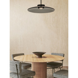 PAKABINAMAS LED ŠVIESTUVAS 25275 D50 31W DŪMINTO STIKLO SPALVOS pigiau