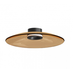LUBINIS LED ŠVIESTUVAS 25268 D50 30W RUDAS