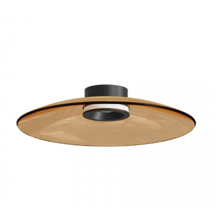 LUBINIS LED ŠVIESTUVAS ZAMBELIS 25268 D50 30W RUDAS